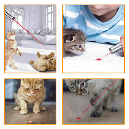 Rechargeable Cat Laser Pointer